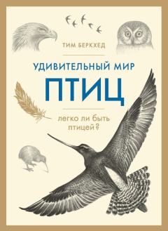 Книга - Удивительный мир птиц. Тим Беркхед - читать в Litvek