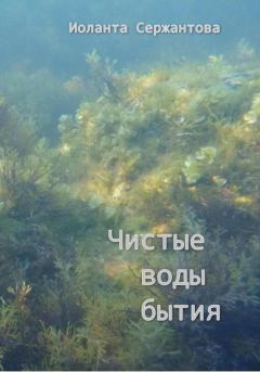 Обложка книги - Чистые воды бытия - Иоланта Ариковна Сержантова
