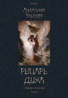 Обложка книги - Рыцарь духа  - Анатолий Эльснер