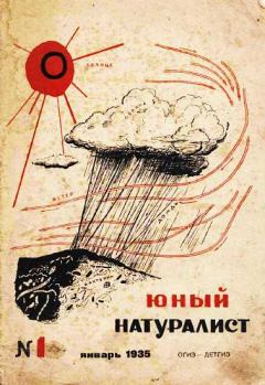 Книга - Юный натуралист 1935 №1. Журнал «Юный натуралист» - прочитать в Litvek