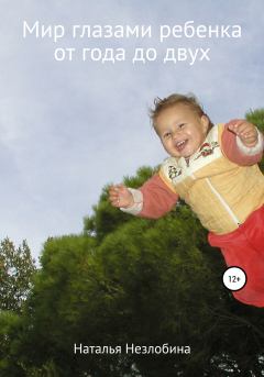 Книга - Мир глазами ребенка от года до двух. Наталья Незлобина - читать в Litvek