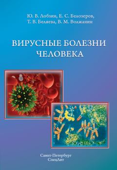 Обложка книги - Вирусные болезни человека - Валерий Михайлович Волжанин