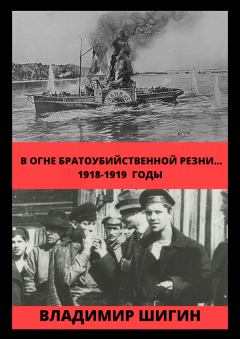 Обложка книги - В огне братоубийственной резни… 1918-1919 годы - Владимир Виленович Шигин