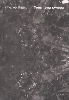 Обложка книги - Тень тела кучера - Петер Вайсс