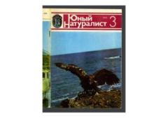 Книга - Юный натуралист 1985 №03. Журнал «Юный натуралист» - читать в Litvek