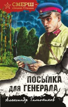 Обложка книги - Посылка для генерала - Александр Александрович Тамоников