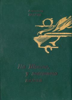Обложка книги - Семейный круг. Александр Евгеньевич Брагин - Litvek
