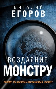Книга - Воздаяние монстру. Виталий Михайлович Егоров - читать в Litvek