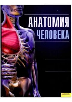 Обложка книги - Анатомия человека. Иллюстрированный атлас -  Коллектив авторов