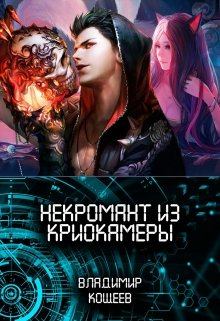 Обложка книги - Некромант из криокамеры - Владимир Александрович Кощеев