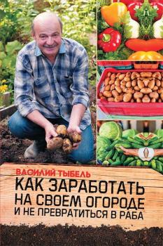 Книга - Как заработать на своем огороде и не превратиться в раба. Василий Васильевич Тыбель - читать в Litvek