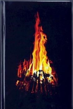 Обложка книги - 666 градусов по Фаренгейту (температура, при которой горит ведьма) - Сергей Сизарев