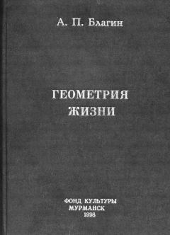Книга - Геометрия жизни. Антон Павлович Благин - прочитать в Litvek