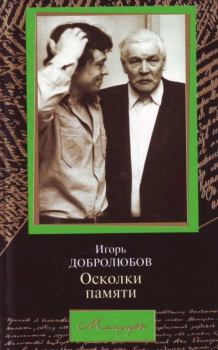 Обложка книги - Осколки памяти - Игорь Добролюбов