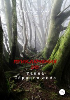 Обложка книги - Приключения ДД. Тайна Чёрного леса - Евгения Ляшко
