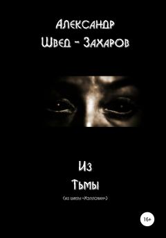 Книга - Из тьмы. Александр Швед-Захаров - читать в Litvek