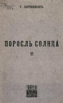 Книга - Поросль солнца. Григорий Николаевич Петников - читать в Litvek