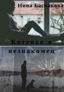 Книга - Котенок и незнакомец (СИ). Нина Баскакова - читать в Litvek