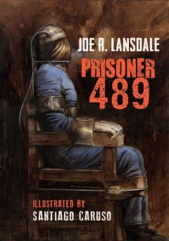 Книга - Заключенный 489. Джо Р Лансдейл - читать в Litvek