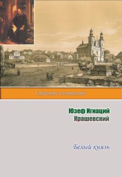Книга - Белый князь. Юзеф Игнаций Крашевский - читать в Litvek