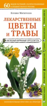 Книга - Лекарственные цветы и травы: наглядный карманный определитель. Ксения Митителло - читать в Litvek