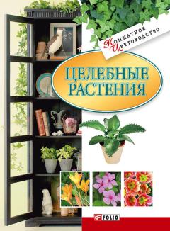 Обложка книги - Целебные растения - Татьяна Николаевна Дорошенко