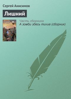 Книга - Лишний. Сергей Владимирович Анисимов - прочитать в Litvek