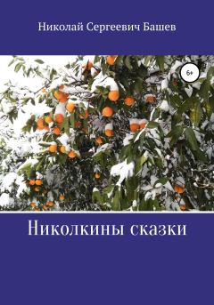 Книга - Николкины сказки. Николай Сергеевич Башев - прочитать в Litvek