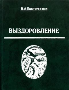 Книга - Выздоровление. Владимир Анатольевич Пшеничников - читать в Litvek