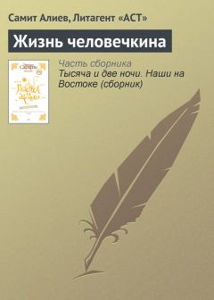 Обложка книги - Жизнь человечкина - Самит Алиев