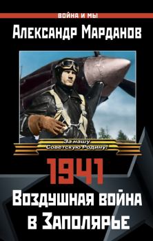 Книга - 1941: Воздушная война в Заполярье. Александр Александрович Марданов - читать в Litvek