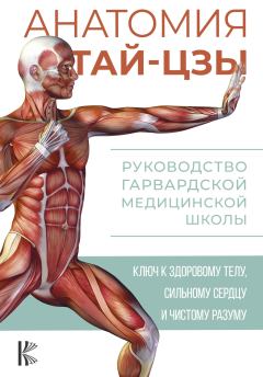 Обложка книги - Анатомия тай-цзы. Руководство Гарвардской медицинской школы - Питер Уэйн
