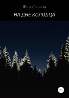 Книга - На дне колодца. Юлия Николаевна Горина - читать в ЛитВек