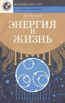 Книга - Энергия и жизнь. Николай Савельевич Печуркин - читать в Litvek