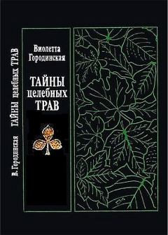 Книга - Тайны целебных трав. Виолетта С Городинская - читать в Litvek