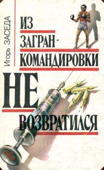 Книга - Из загранкомандировки не возвратился. Игорь Иванович Заседа - читать в Litvek