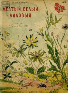Обложка книги - Жёлтый, белый, лиловый - Валерий Сергеевич Алфеевский