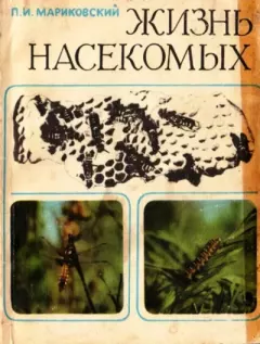 Книга - Жизнь насекомых. Павел Иустинович Мариковский - прочитать в Litvek