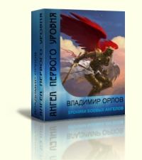 Обложка книги - Ангел первого уровня - Владимир Геннадьевич Лавров