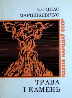 Книга - Трава і камень. Юсцінас Марцінкявічус - читать в Litvek