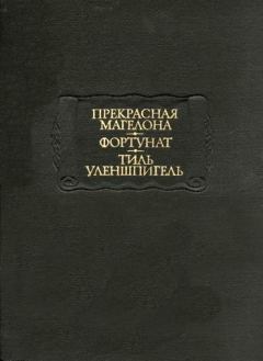 Обложка книги - Тиль Уленшпигель - литература Средневековая