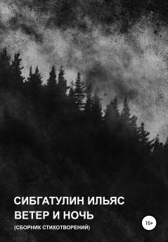 Обложка книги - Ветер и ночь - Ильяс Сибгатулин