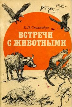 Книга - Встречи с животными. Евгений Павлович Спангенберг - прочитать в Litvek