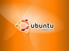 Книга - Ubuntu Linux: базовый курс. Дмитрий Котенок - читать в Litvek