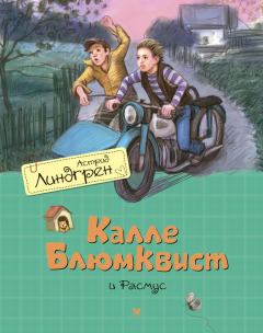 Книга - Калле Блюмквист и Расмус. Астрид Линдгрен - читать в Litvek