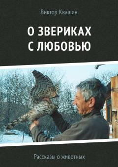 Обложка книги - О звериках с любовью - Виктор Квашин
