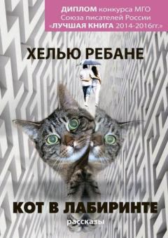 Книга - Кот в лабиринте. Хелью Ребане - прочитать в Litvek
