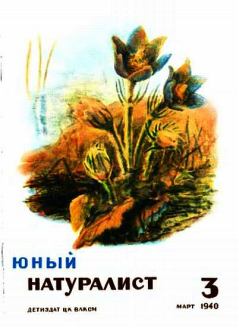 Книга - Юный натуралист 1940 №3. Журнал «Юный натуралист» - читать в Litvek