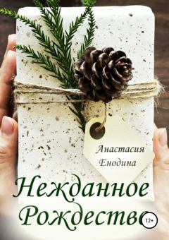 Книга - Нежданное Рождество. Анастасия Александровна Енодина - читать в Litvek