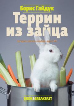 Книга - Террин из зайца. Борис Викторович Гайдук - прочитать в Litvek
